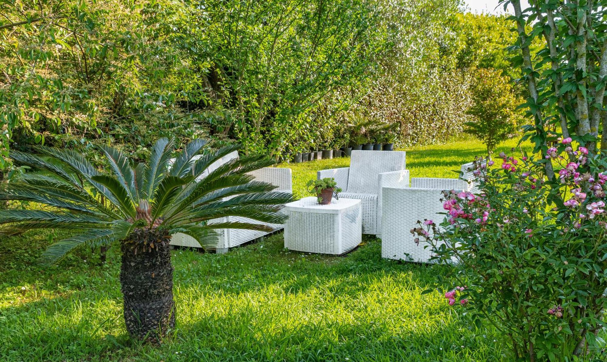 B&B Da Pio Bed & Breakfast Pietrasanta