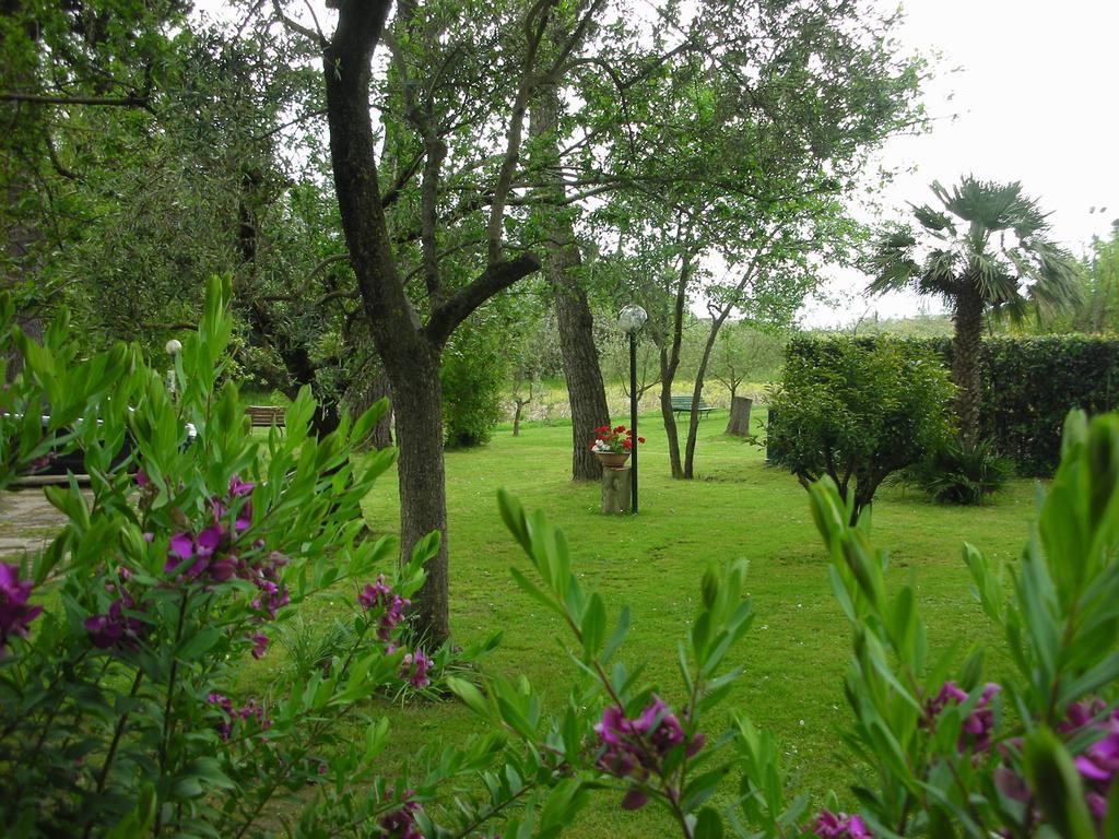 B&B Da Pio 3* Pietrasanta