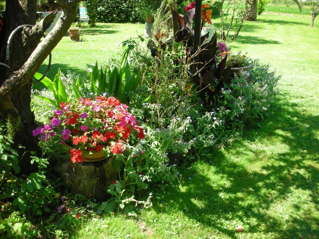 Bed & Breakfast B&B Da Pio 3*