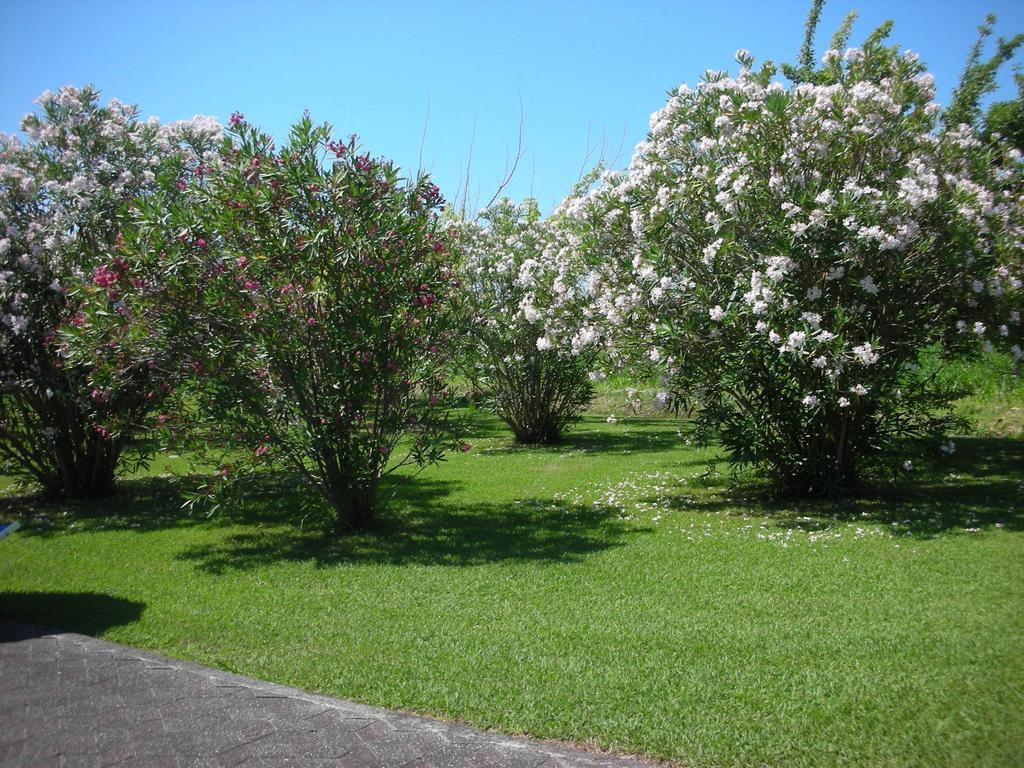 B&B Da Pio Bed & Breakfast Pietrasanta